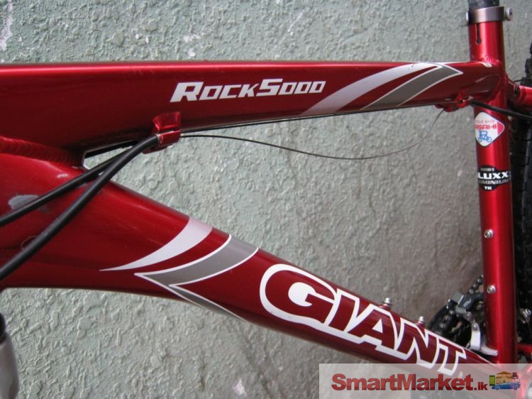 giant rock 5000 price