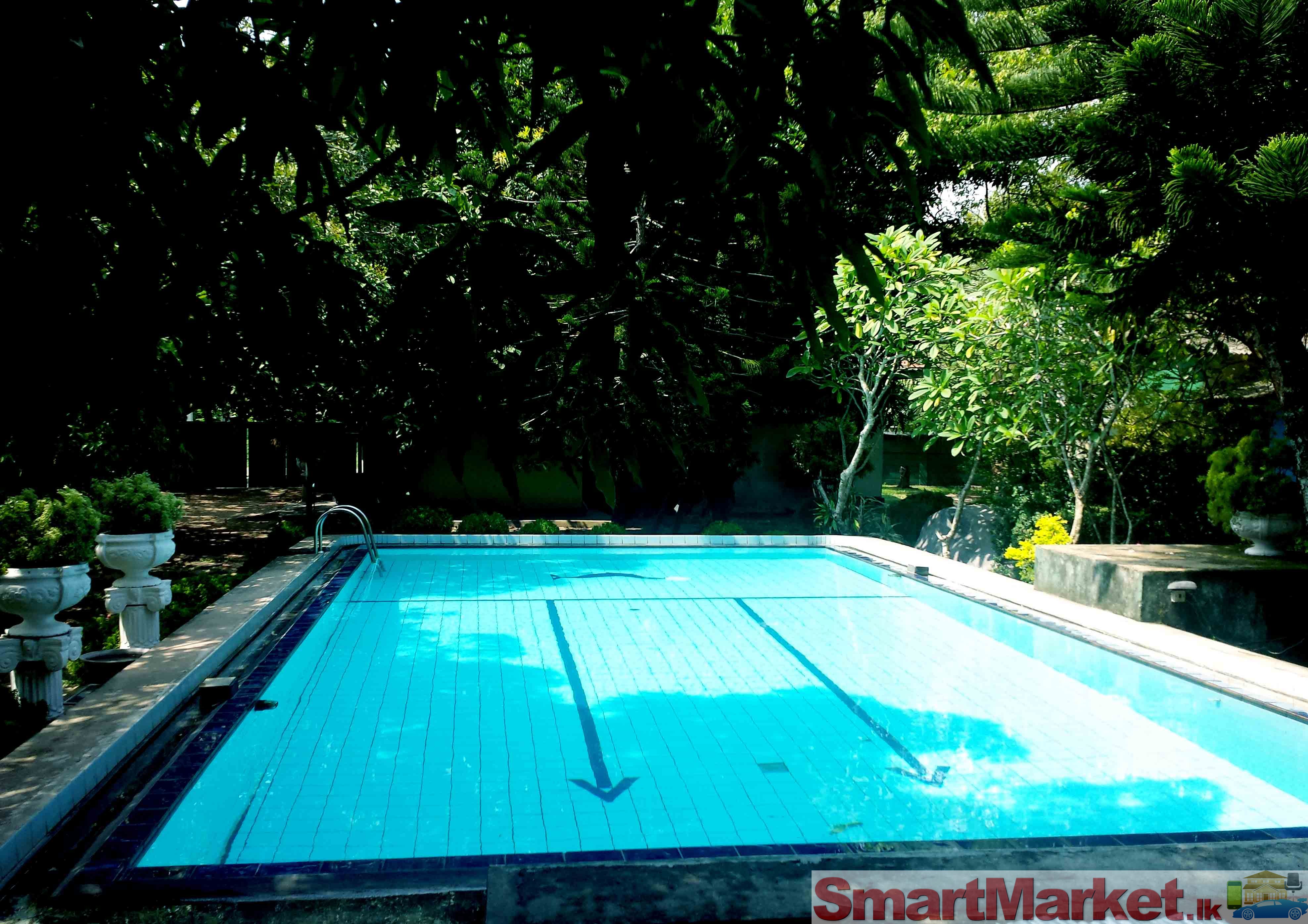 LOW COST SWIMMING POOLS