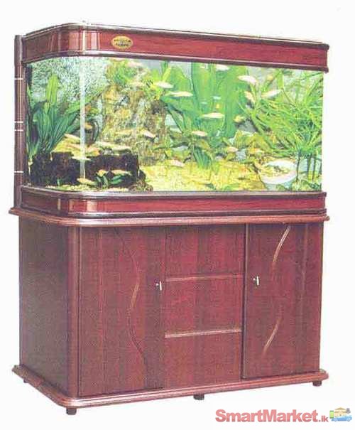 Imported fish tank clearance online