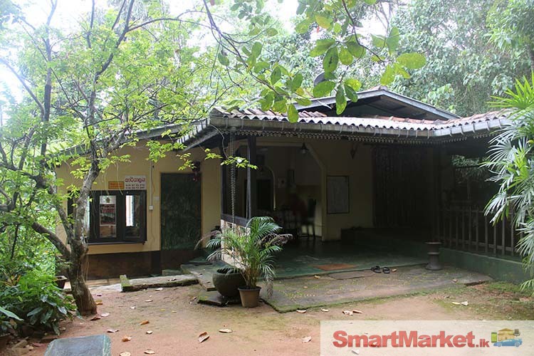 30 Acres Land with Holiday Bungalow Gonagaldeniya, Ruwanwella.