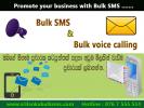 Bulk SMS in Srilanka
