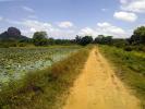 Land for Sale at Sigiriya
