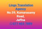 Lingo Translation Agency